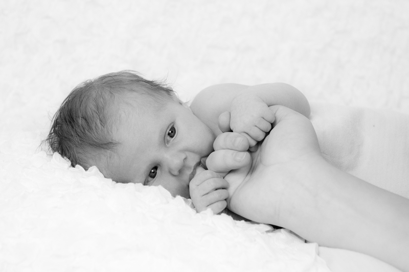 Newborn fotografie Gelderland