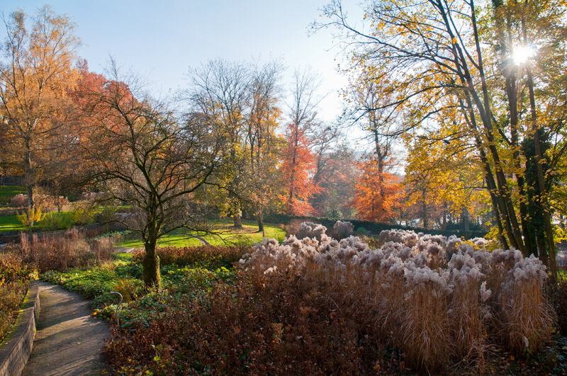 Park Sonsbeek herfst Arnhem Gelderland