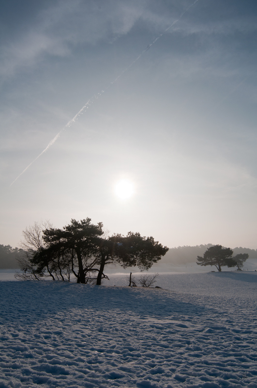Soester Duinen - Zonnige winterochtend