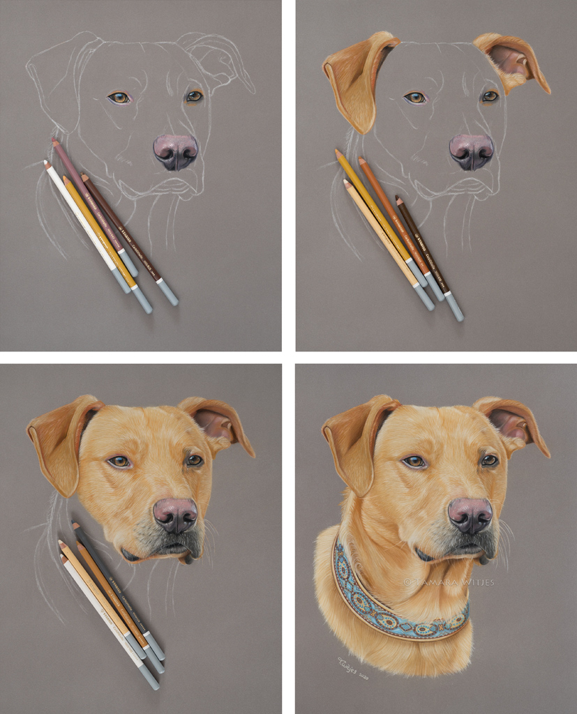 pasteltekening portrettekening hond